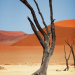 Nacionalni park Namib-Naukluft_ 3