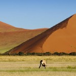 Nacionalni park Namib-Naukluft_ 7