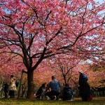 Yoyogi park Yoyogi park