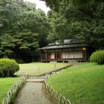 Yoyogi park_ (2) Yoyogi park_ (2)