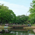 Yoyogi park_most Yoyogi park_most