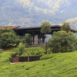 nyungwe-forest-lodge-15