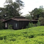 nyungwe-forest-lodge-16