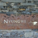 nyungwe-forest-lodge-18