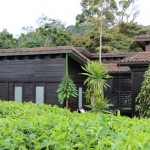 nyungwe-forest-lodge-22