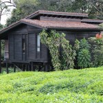 nyungwe-forest-lodge-23