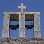 velebit