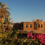 al-tarfa-5 al-tarfa-5