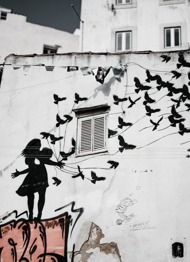 grafiti 5