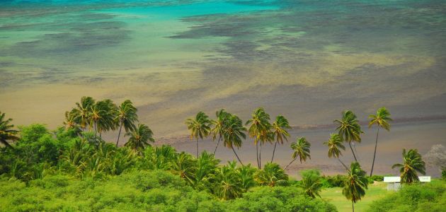 Havaji otoci bijelog pijeska, zelenih planina i najženstvenijeg hula plesa