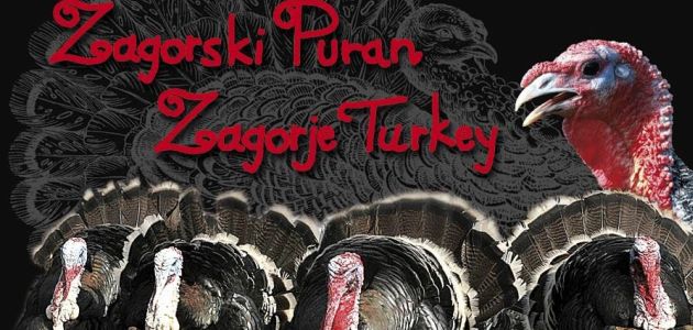 zagorski-puran