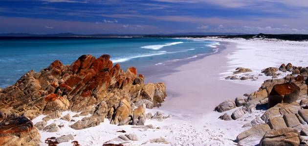 Tasmanija australski otok čiji tasmanski vrag uživa u netaknutoj prirodi
