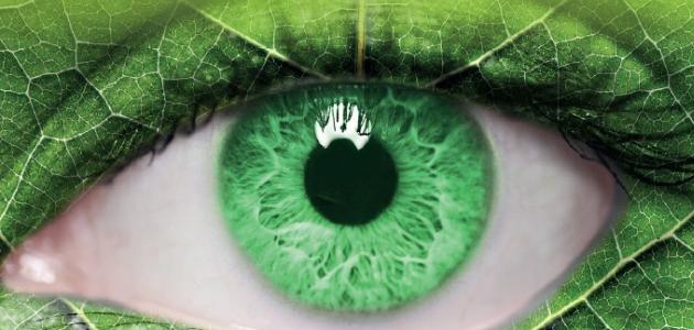 Razmisli / Nauči od prirode