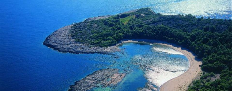 mljet-s