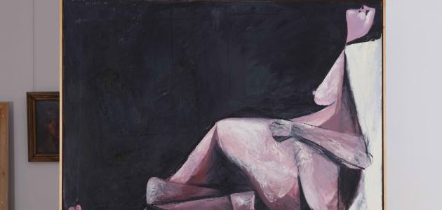 Munir Vejzović, Zagrljaj erotike i plastike