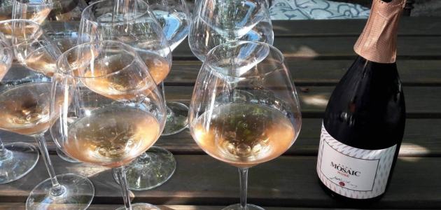 Posjet vinaru Jakončiču u Goriškim brdima: Užitak za sva čula
