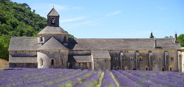 Dolina Rhone – mitska vinska regija francuske