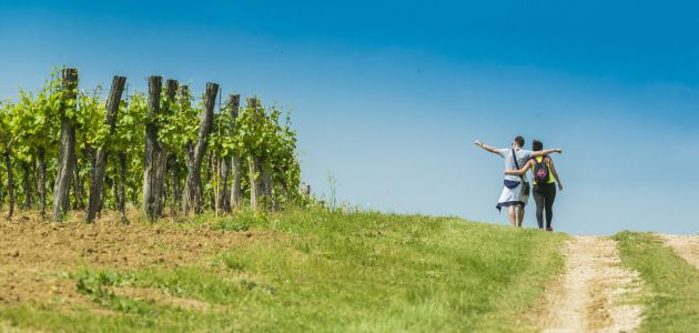 Veliki interes za treći Istria Wine and Walk