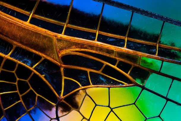 izlozba-petra-sabola-1