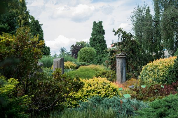 Wrocław vrt poljska