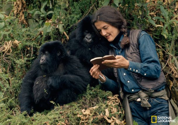 dian-fossey-2