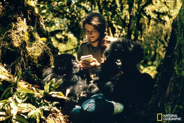 dian-fossey-5