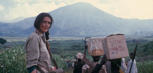 Ne propustite seriju o Dian Fossey: Tajne u magli