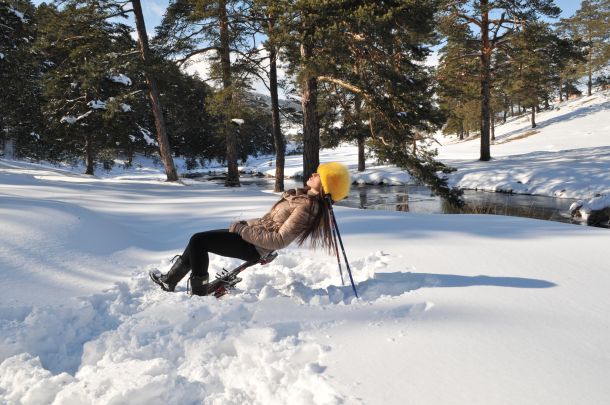 Turistička organizacija Zlatibor