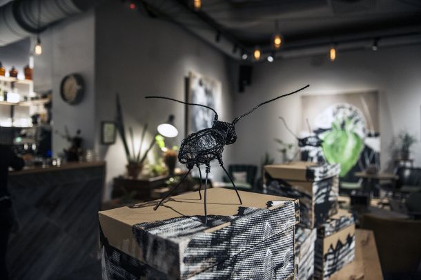 metamorfoze-iz-vrta-2