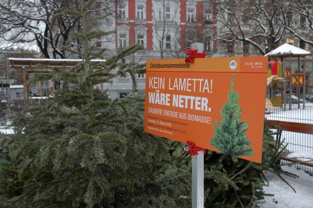 odlagaliste-bozicnih-drvaca