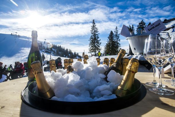 gourmet-cup-ljubljana-3