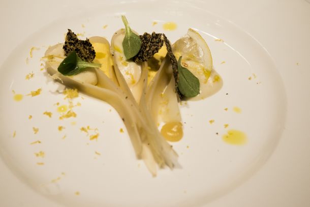 gourmet-cup-ljubljana-6