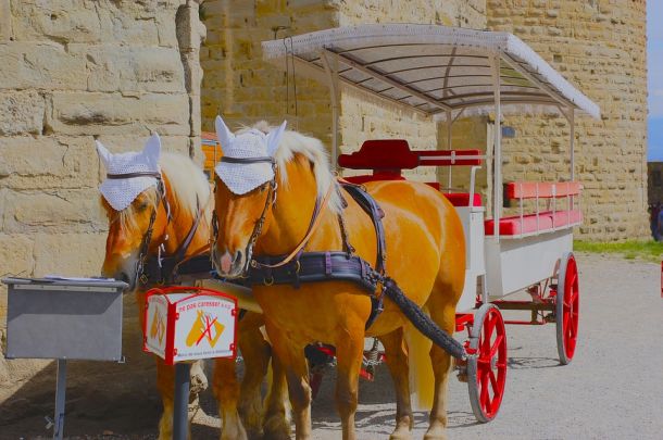 francuska vožnja kočijom carcassonne