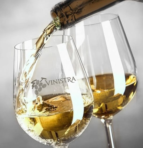 Vinistra-1