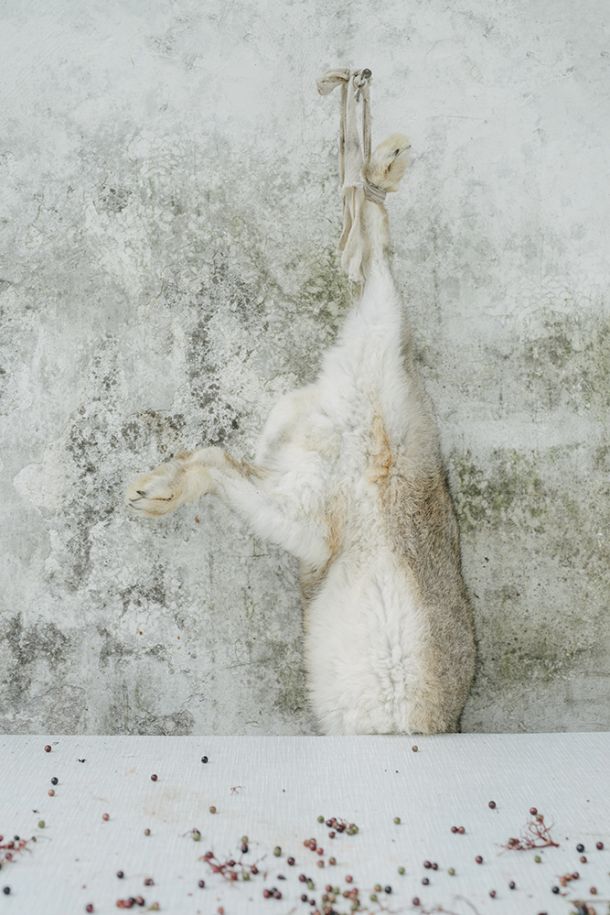 Denis Butorac, Homesick (3)-1