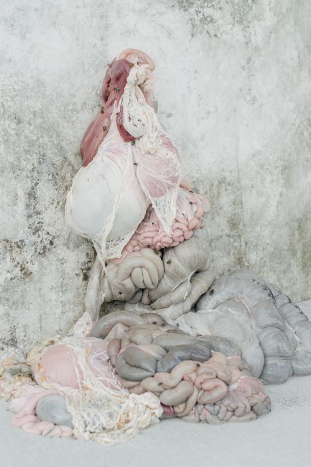 Denis Butorac, Homesick (7)