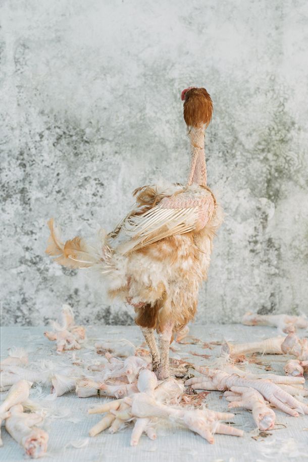 Denis Butorac Homesick izlozba