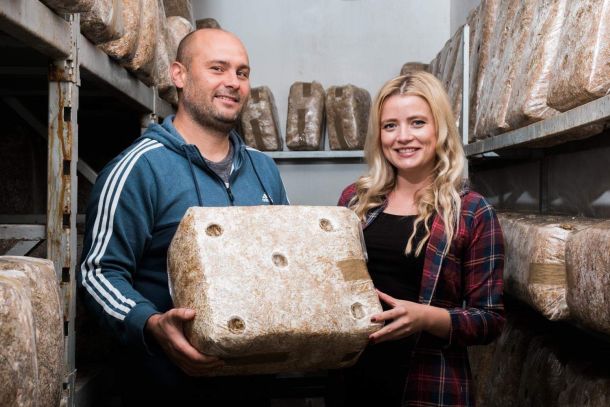 tihomir-tucman-gljive-09