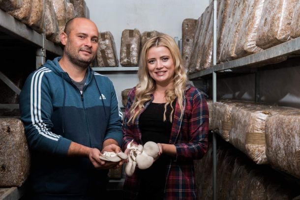 tihomir-tucman-gljive-11