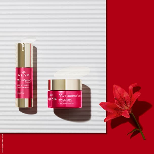 merveillance-expert-1