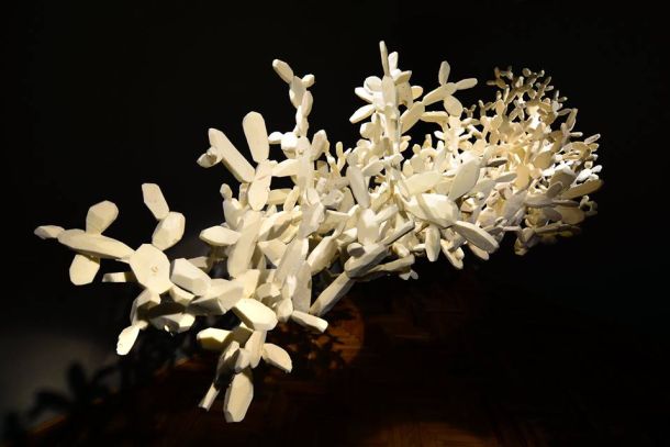 petar-dolic-palmizana-3