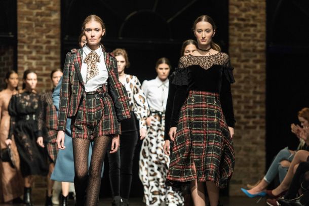 zfd-antonela-gregorovic