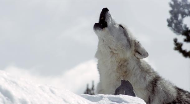 living-in-the-future-past