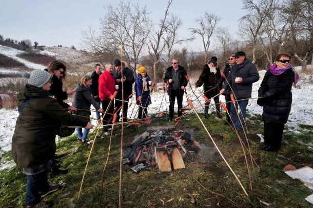 vinograd vinar kolarić
