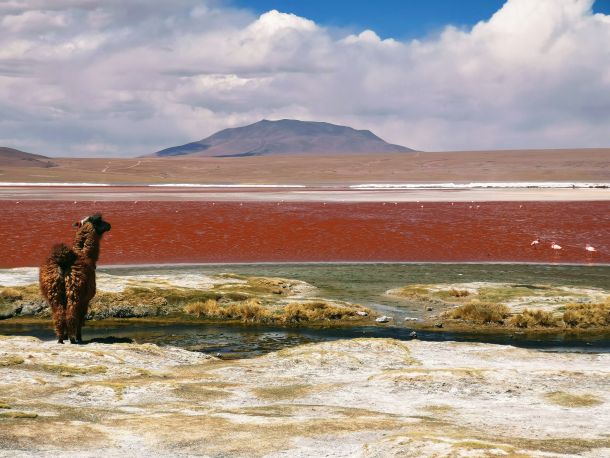 Bolivia