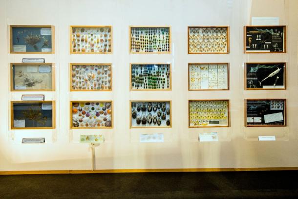 prirodoslovni-muzej-1