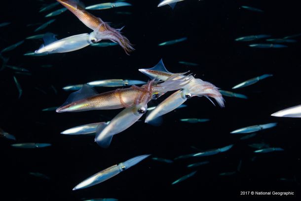 negostoljubivi-planet-3