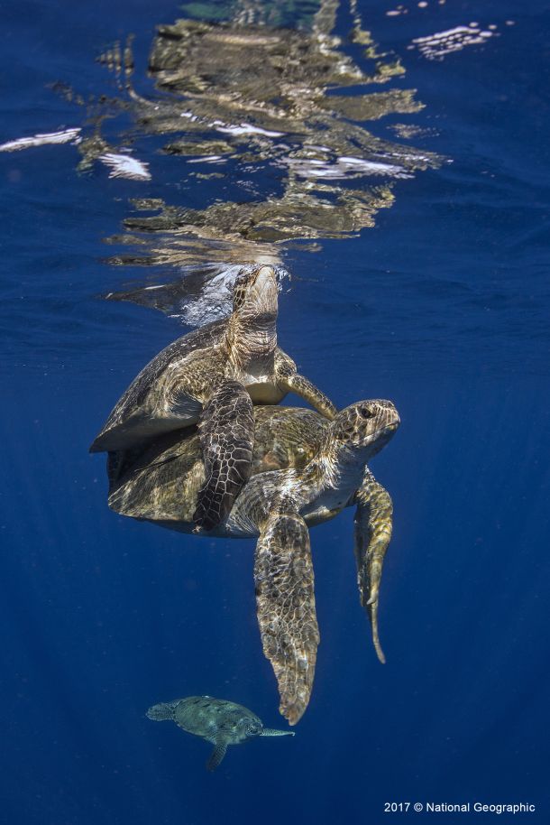 negostoljubivi-planet-4