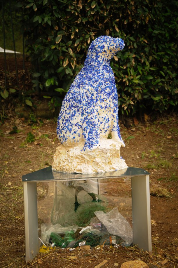 sredozemna-medvjedica