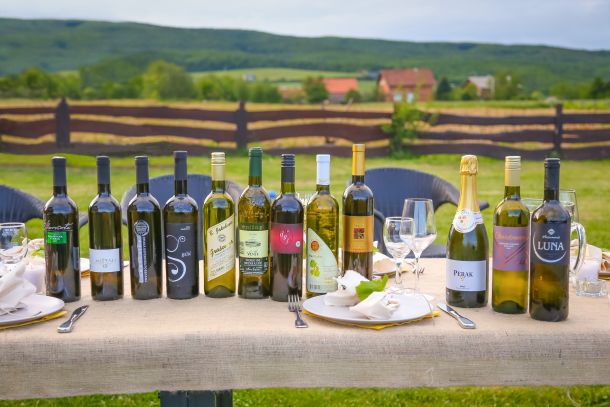 vecera-u-vinogradu-1